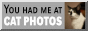 You had me at cat photos